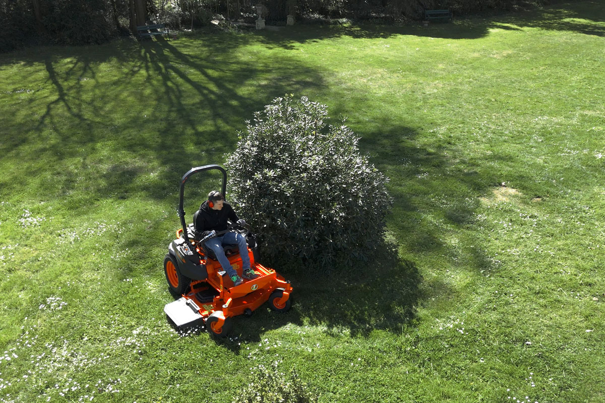 z4-541 action 03