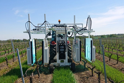uv-boosting im weinbau